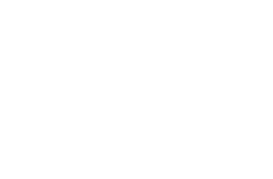 The Chain LINK Store